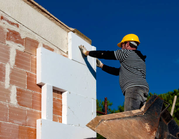 Professional Insulation Contractor in South Rockwood, MI