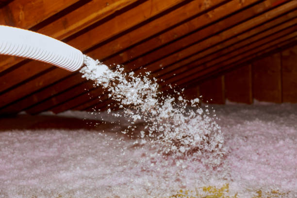 Best Fiberglass Insulation in South Rockwood, MI