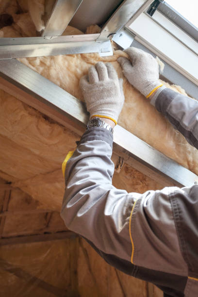 Best Residential Insulation in South Rockwood, MI