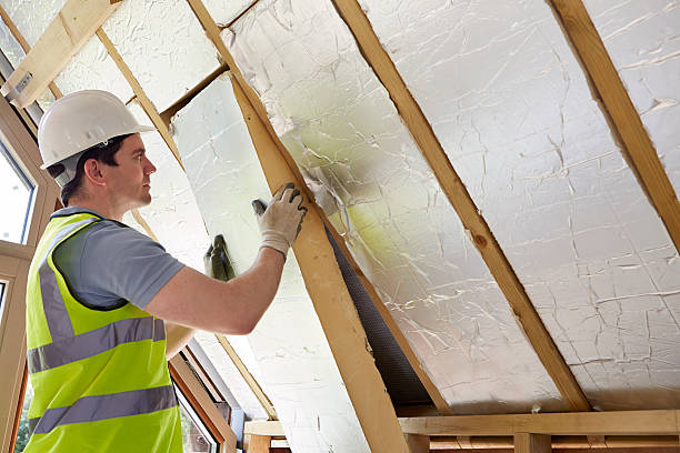 Best Spray Foam Insulation in South Rockwood, MI