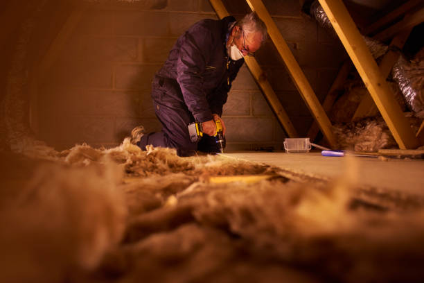 Best Insulation Maintenance and Repair in South Rockwood, MI